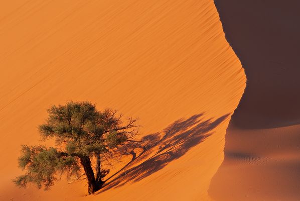 Mein Foto 3 zum „Kreativ Projekt 185“ Wettbewerb 