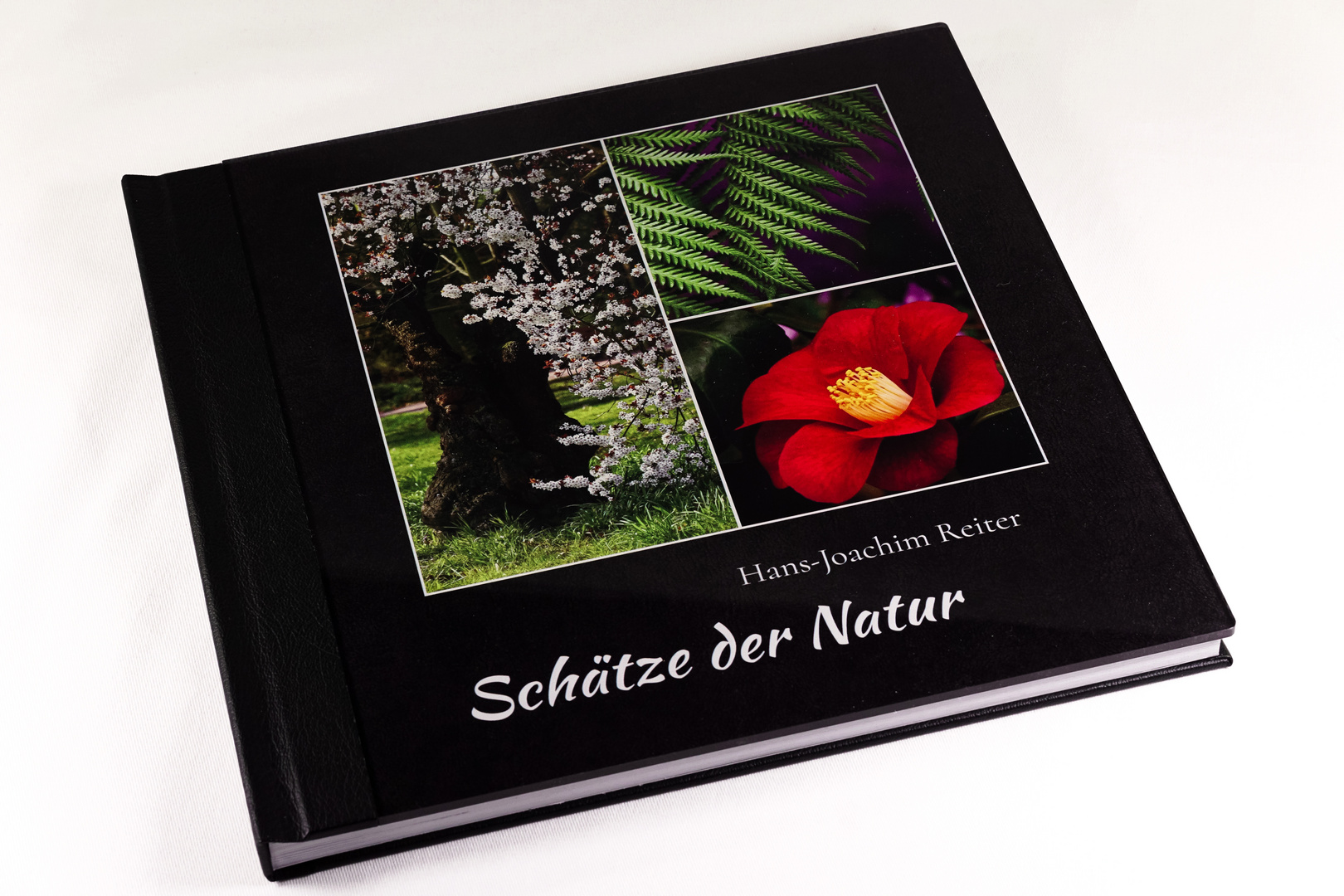 Mein Fotobuch