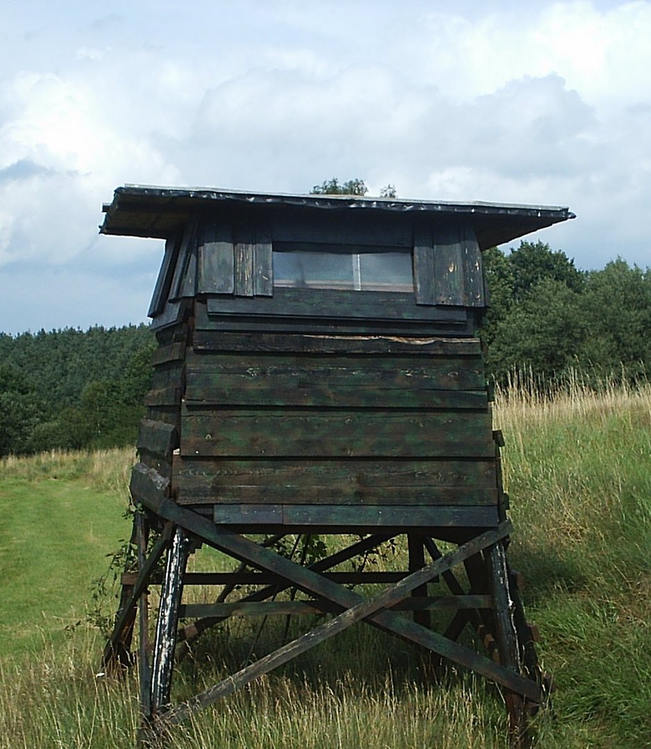 Mein Fotohorst