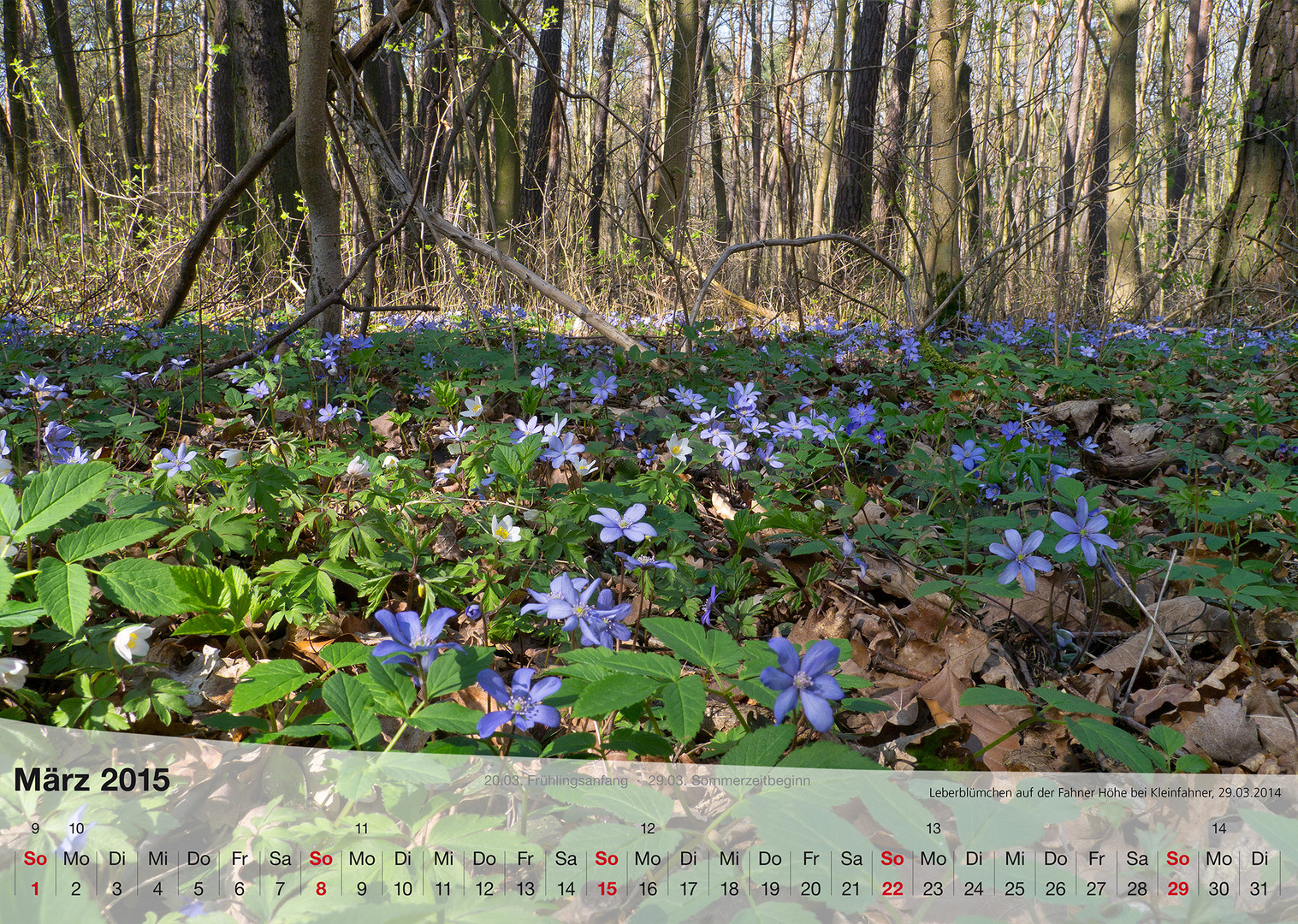 Mein Fotokalender THÜRINGER LANDSCHAFTEN 2015. März