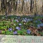 Mein Fotokalender THÜRINGER LANDSCHAFTEN 2015. März