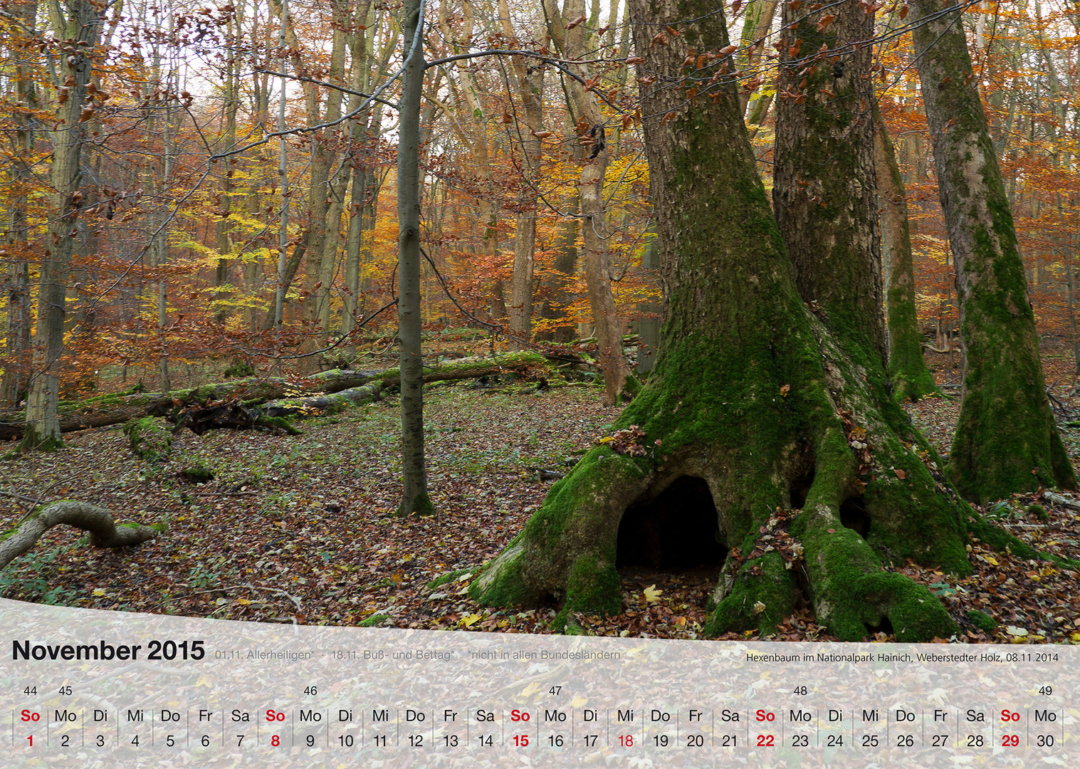 Mein Fotokalender THÜRINGER LANDSCHAFTEN 2015. November