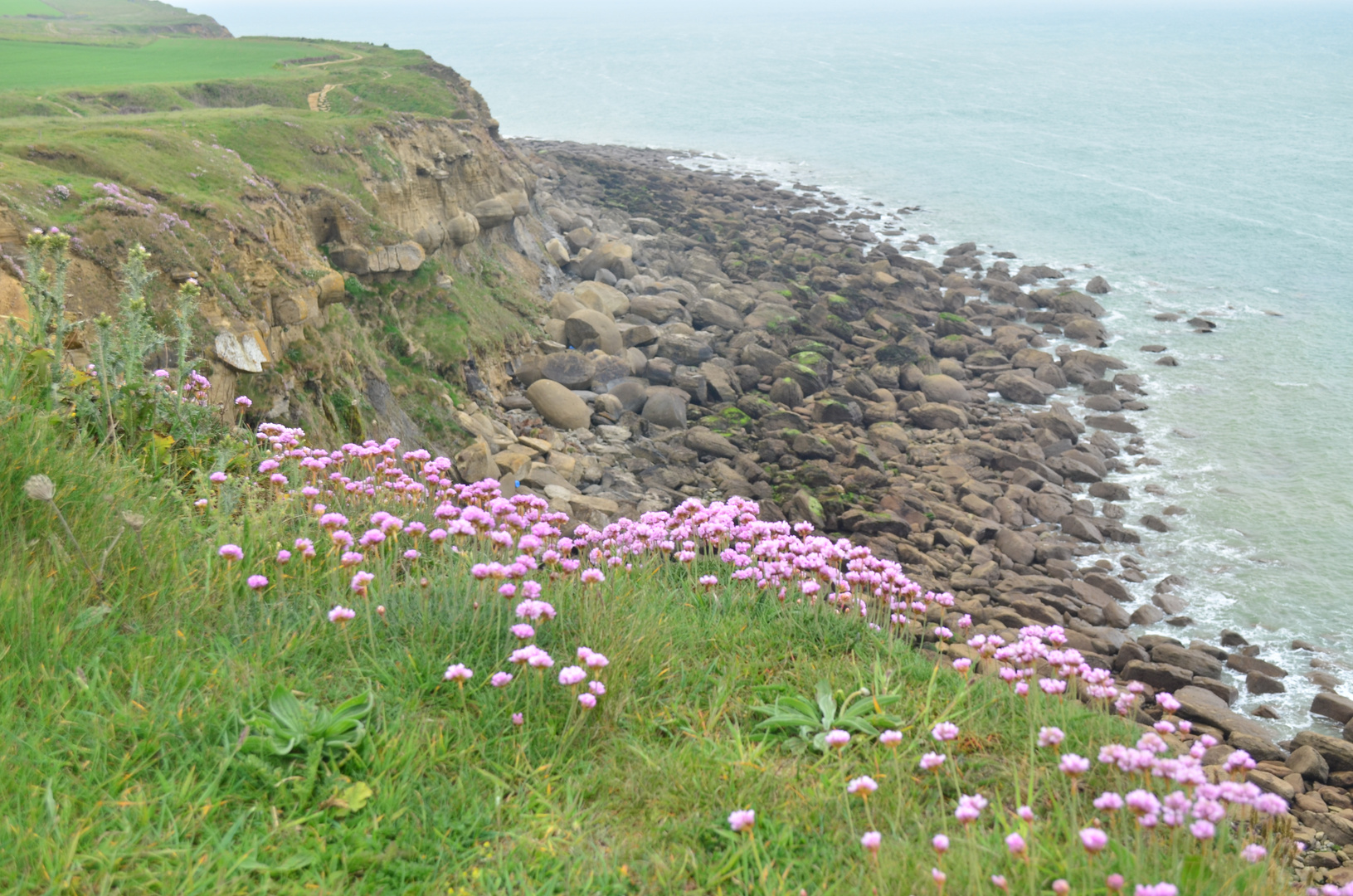 Mein *französisches* CORNWALL :-)