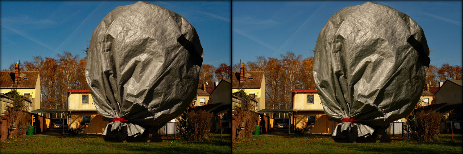 Mein Freund, der Apfelbaum und meine Reverenz an Christo (3D-X-View)