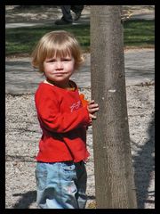 Mein Freund der Baum....