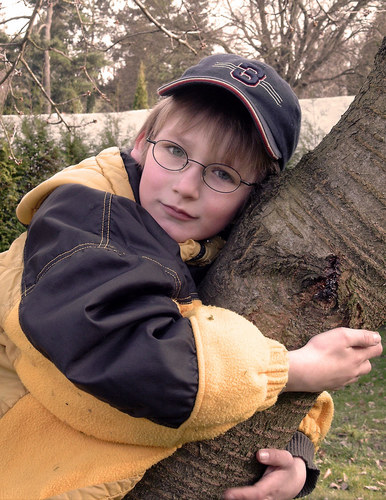 Mein Freund, der Baum.