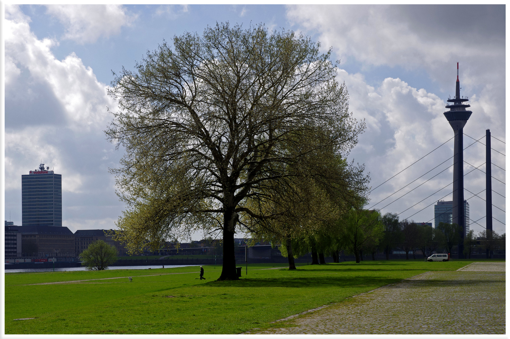 Mein Freund der Baum...