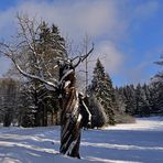 Mein Freund, der Baum......