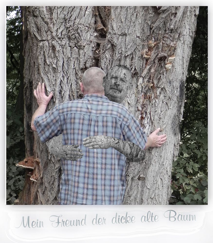 Mein Freund der  Baum