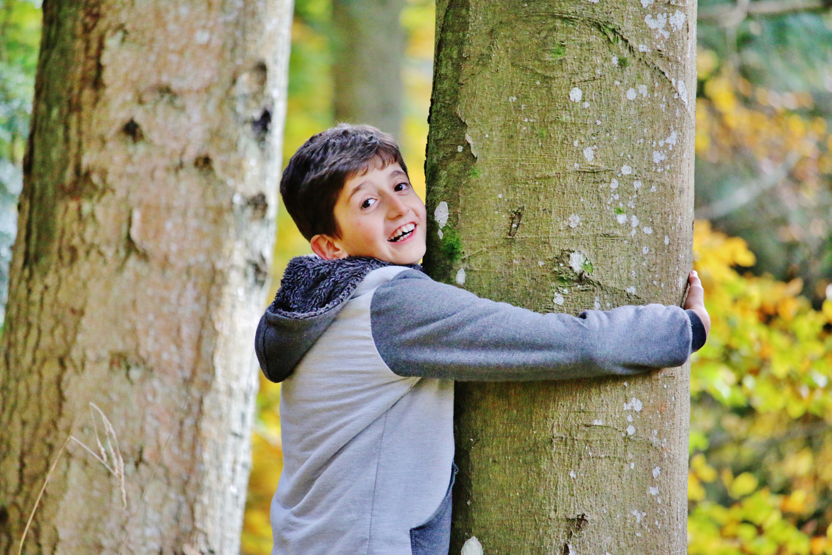 Mein Freund der Baum...