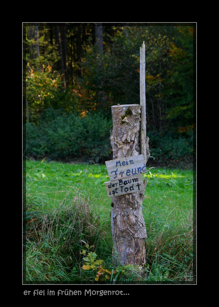 Mein freund der baum ist tod...!