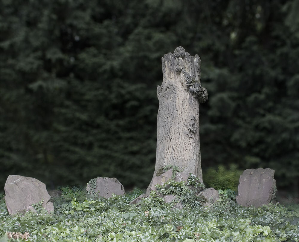 Mein Freund Der Baum Ist Tot Bus Mein Freund, der Baum ist tot..... Foto & Bild | architektur, friedhöfe