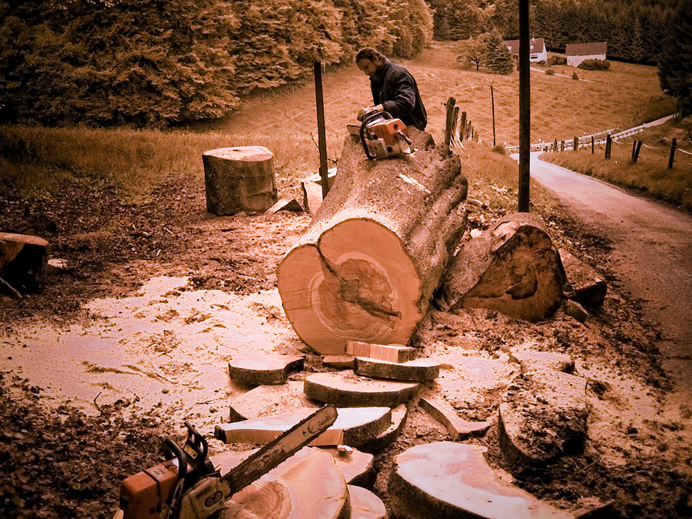 - Mein Freund der Baum - und ich…… mit meiner Stihl 088