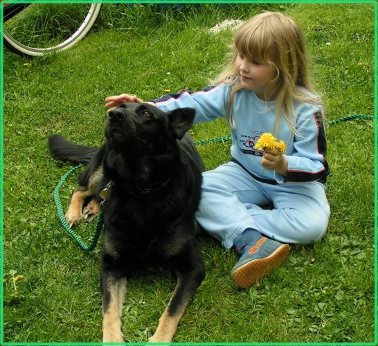 Mein Freund der Hund Foto & Bild kinder, menschen Bilder auf