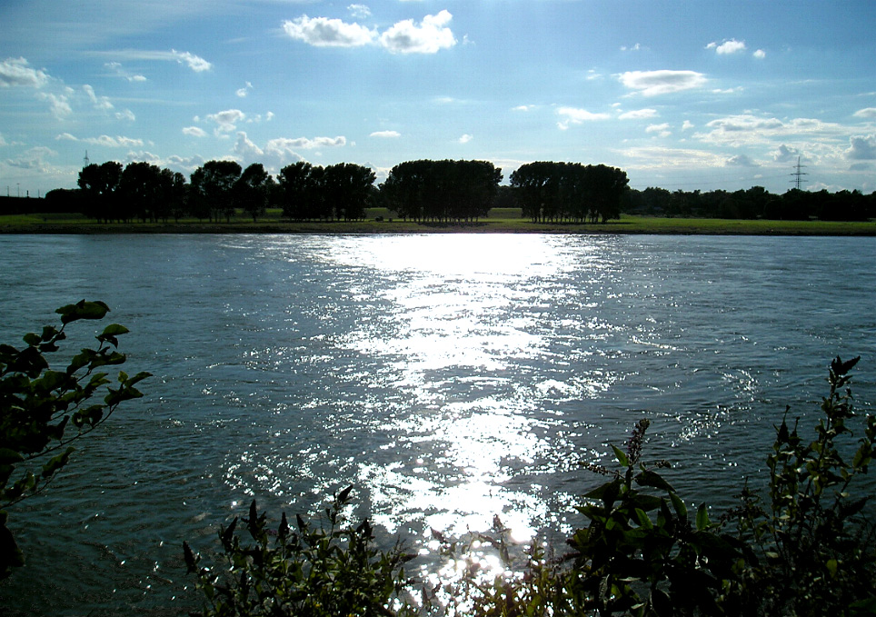 Mein Freund der Rhein.....