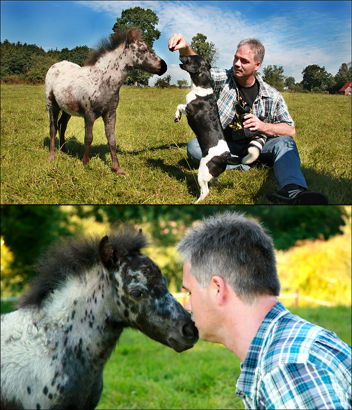 Mein Freund und Buddy Thomas mit Jack Russell "Biene" und Pony "Hidalgo"