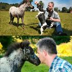 Mein Freund und Buddy Thomas mit Jack Russell "Biene" und Pony "Hidalgo"