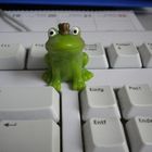 Mein Frosch - aber er hat sich noch nicht verwandelt :-(