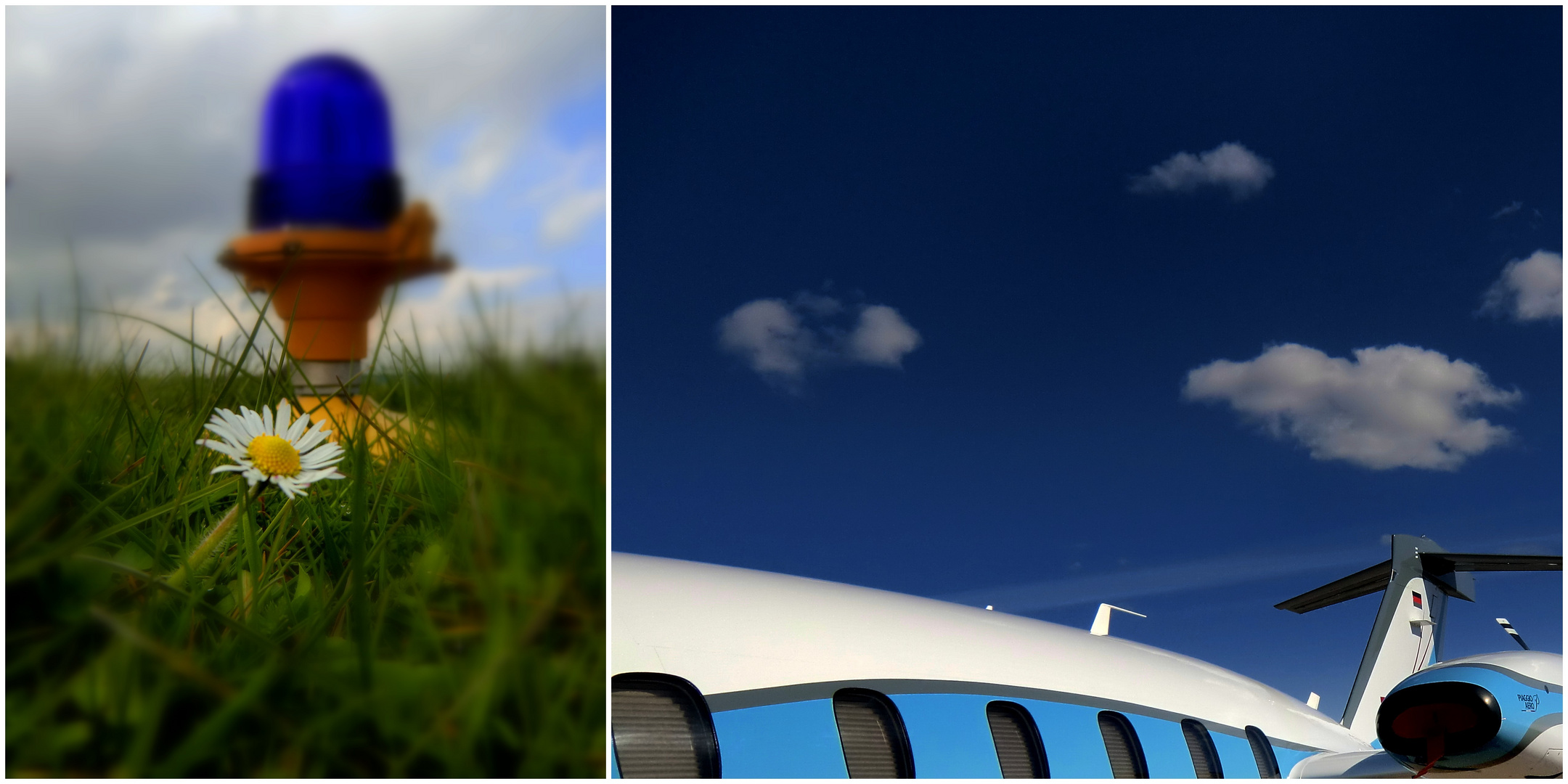 MEIN Frühlingsblümchen hab ich auf dem Flugplatz gefunden!