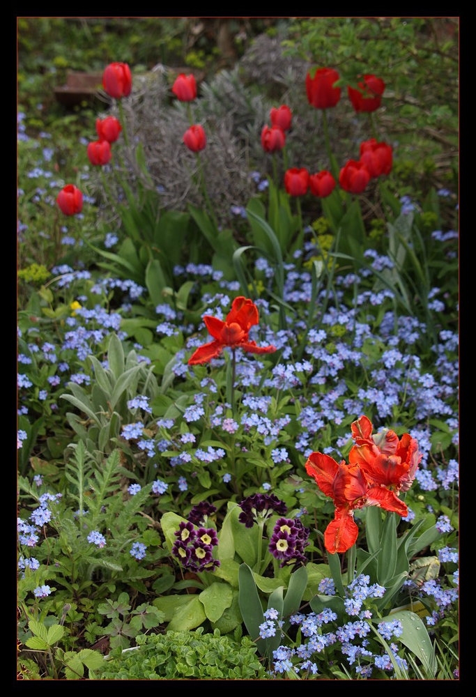 mein Frühlingsgarten