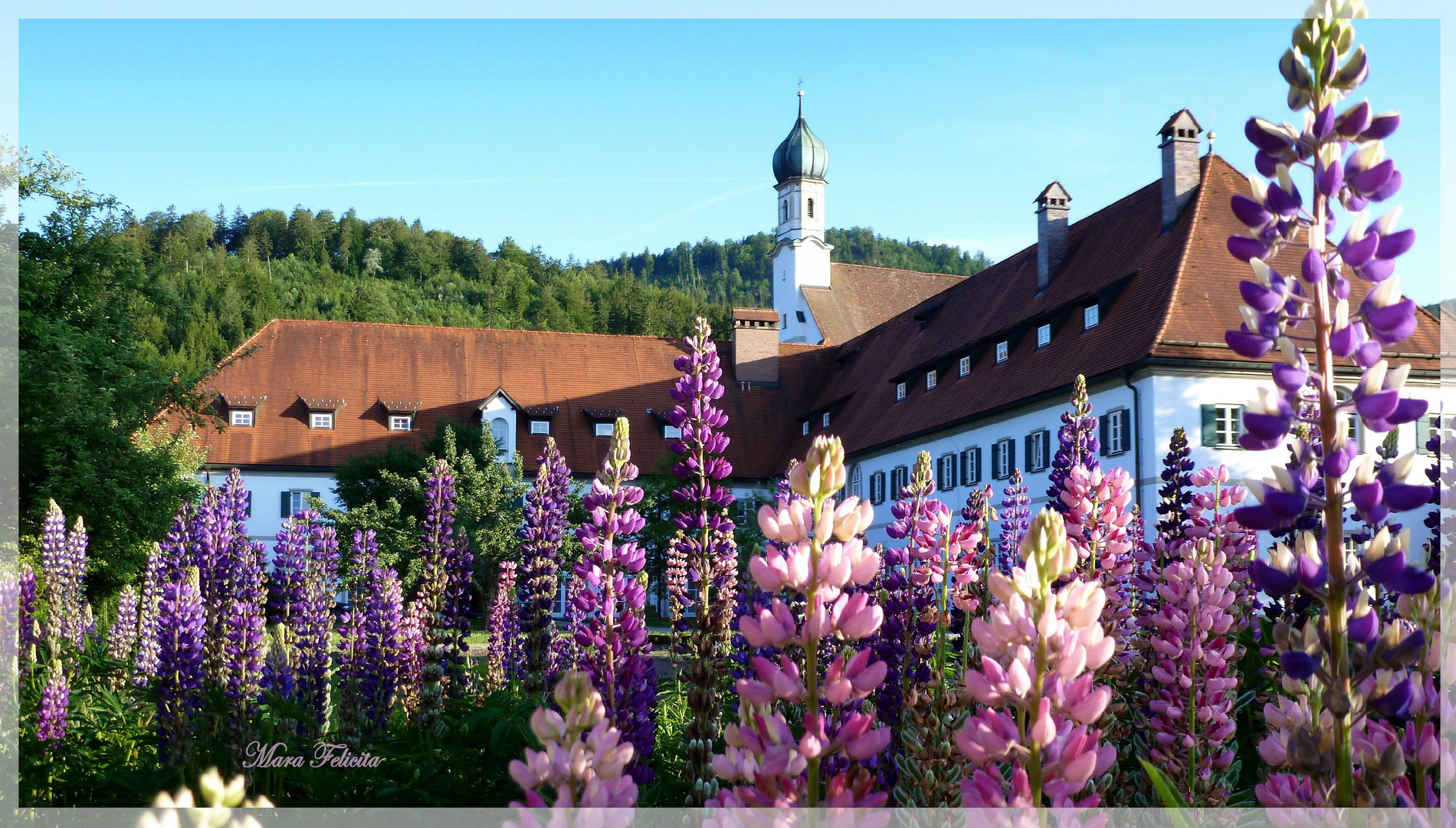 Mein Füssen......einfach schön .......