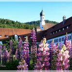 Mein Füssen......einfach schön .......