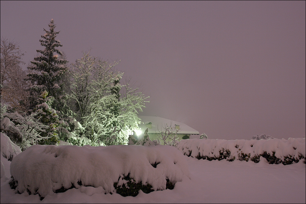 Mein Garten @ 11:30 pm