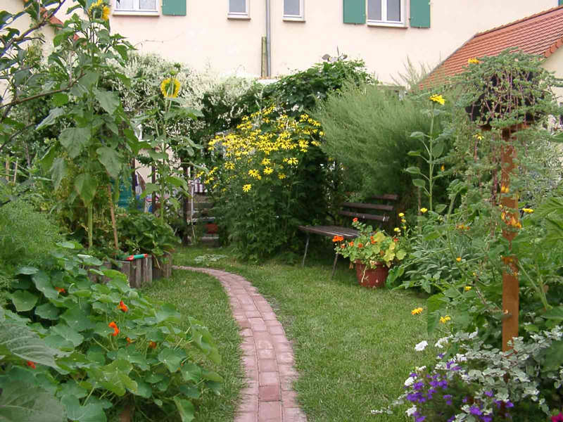 Mein Garten