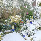 Mein Garten 21.1.2023