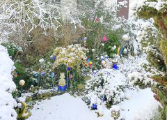 Mein Garten 21.1.2023