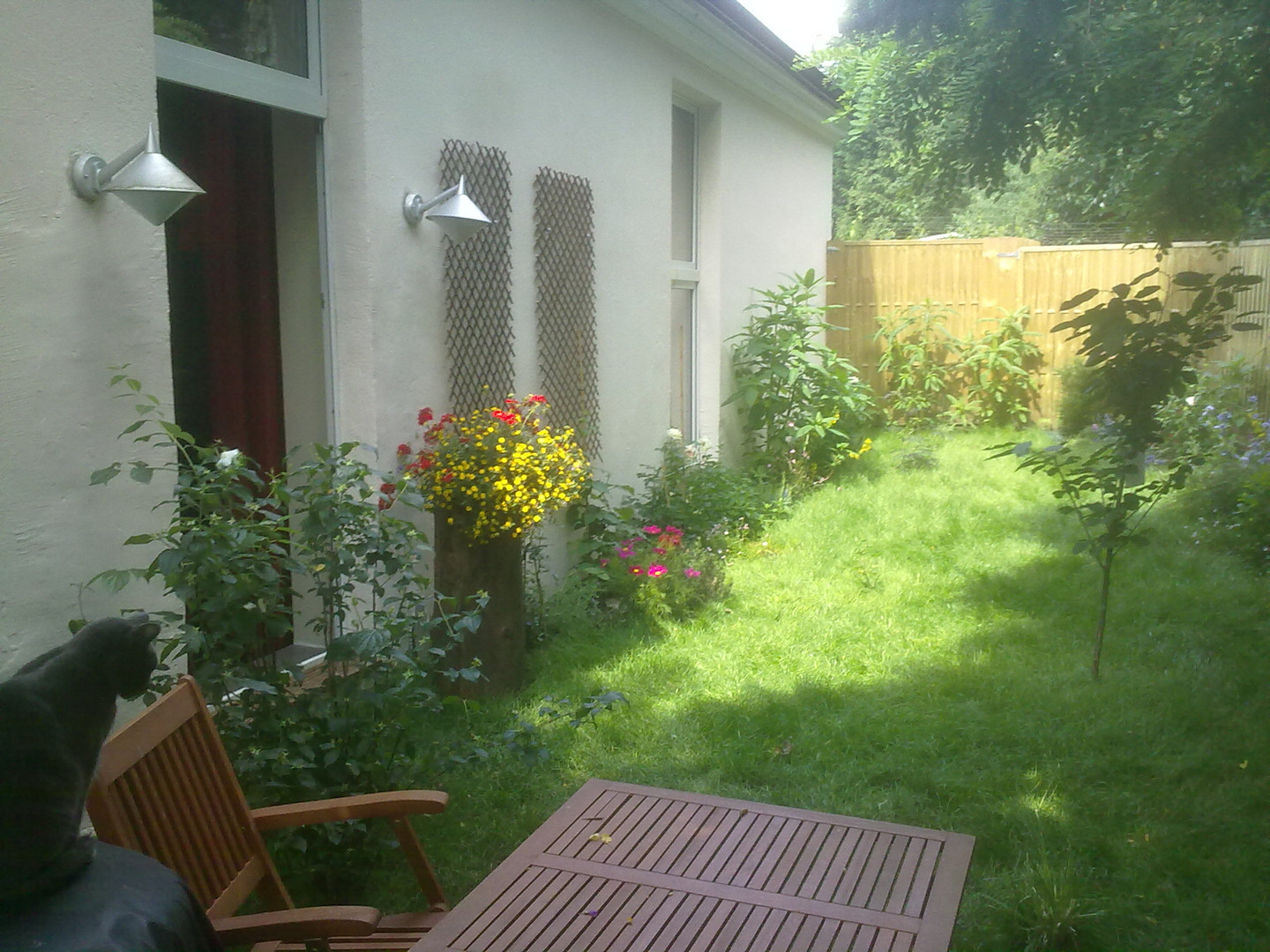 Mein Garten