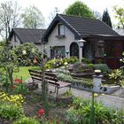 Mein Garten