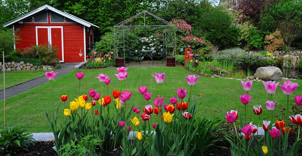 Mein Garten