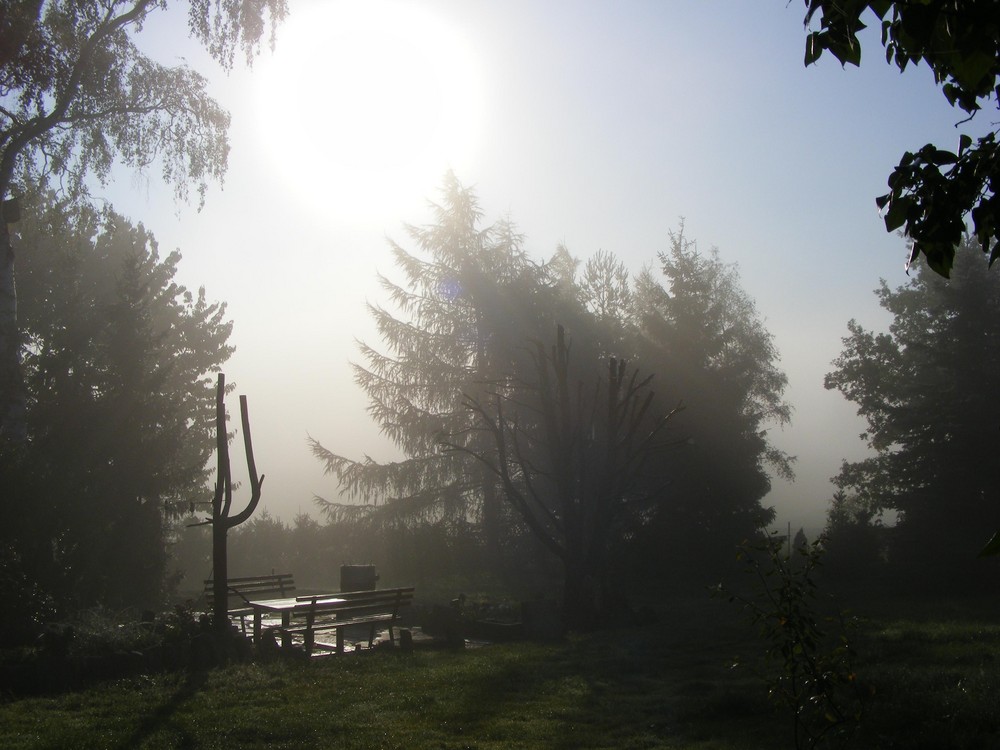 mein Garten ^^