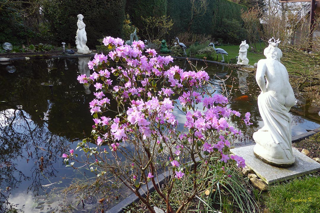 Mein Garten am 5.3.19 nach dem Sturm