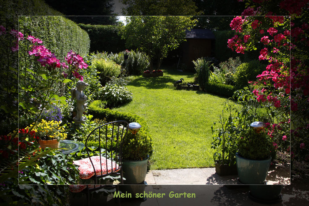 Mein Garten Foto & Bild pflanzen, pilze & flechten