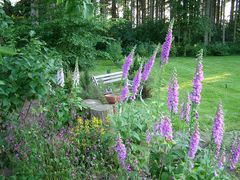 Mein Garten