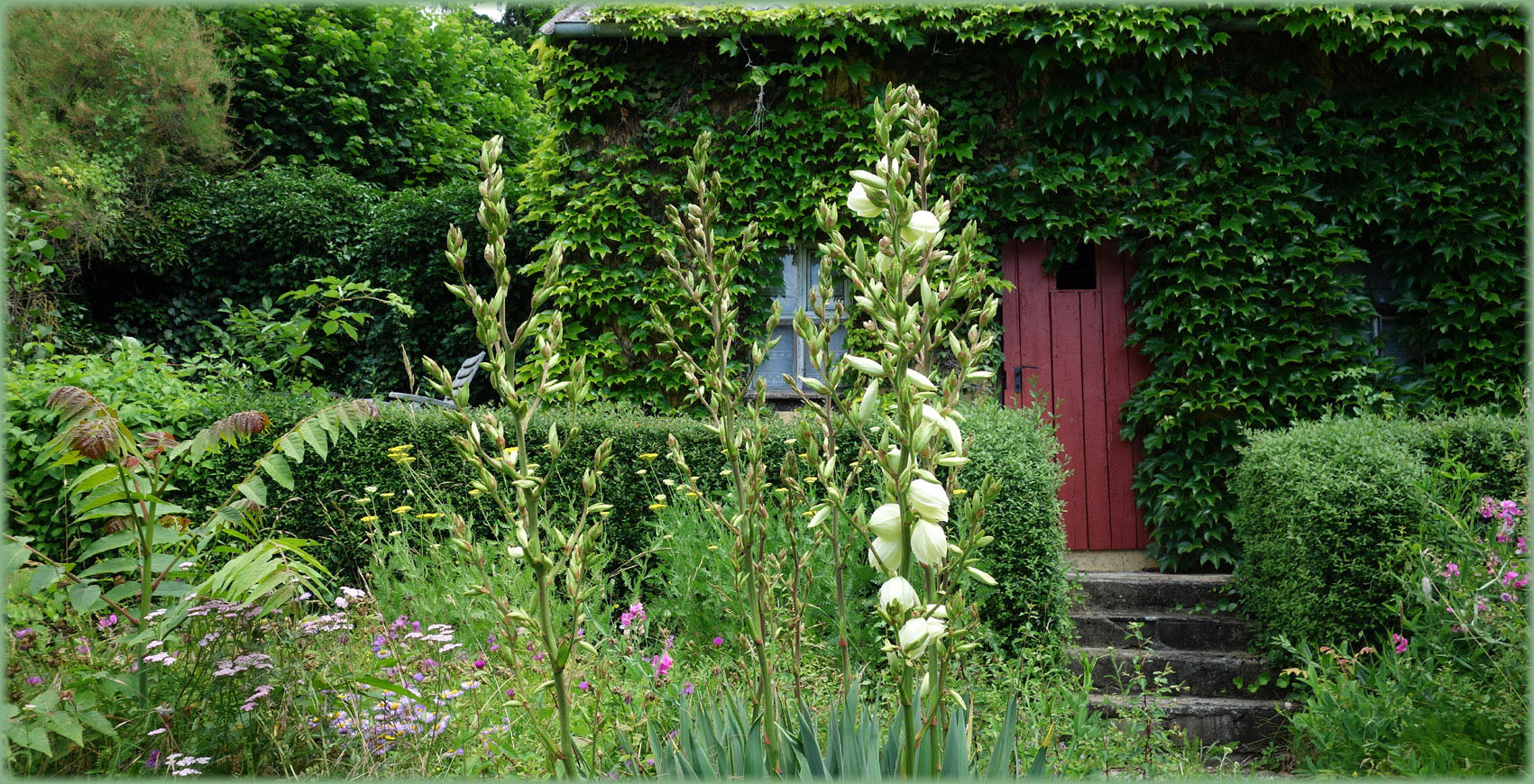 Mein Garten