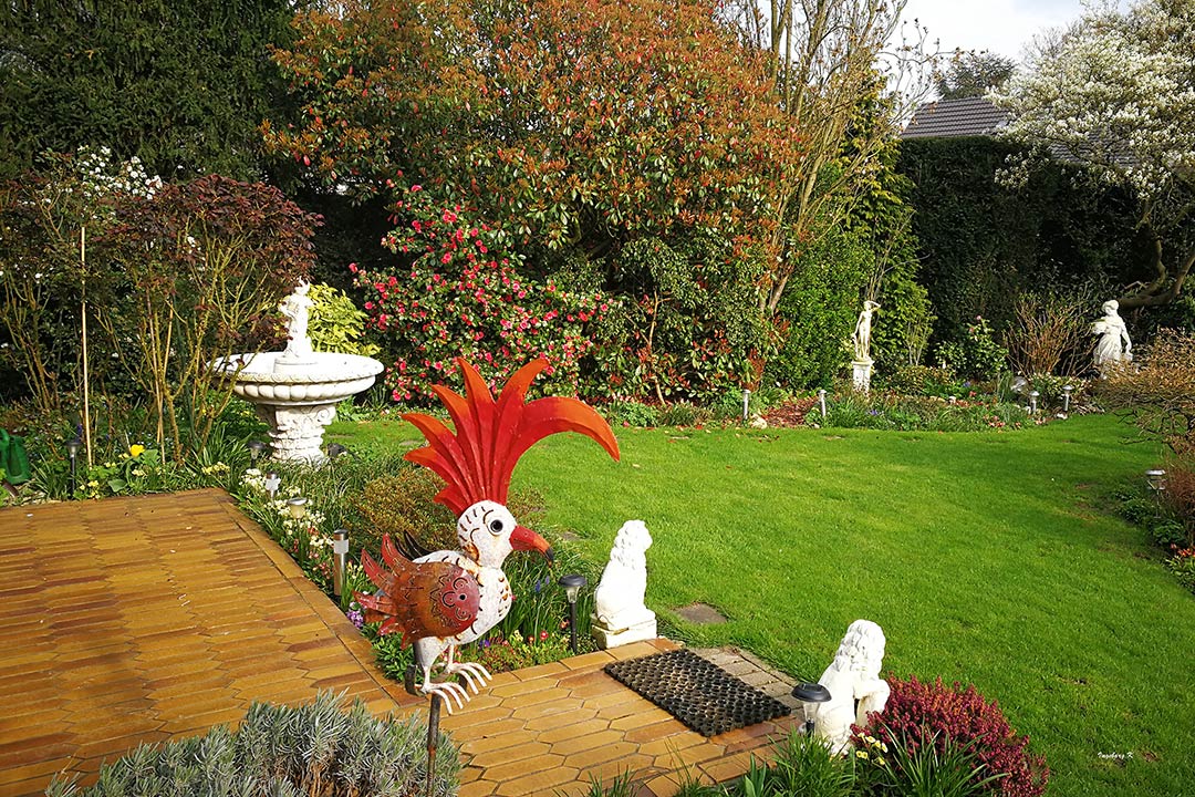 Mein Garten im Frühlingsrausch Foto & Bild frühling