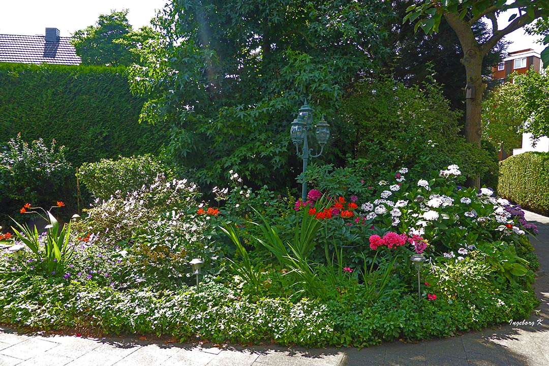 Mein Garten im Juli Foto & Bild natur, landschaft