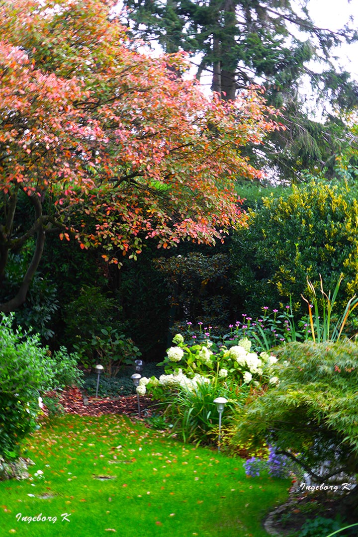 mein Garten im Okober