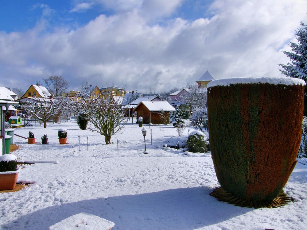 Mein Garten im Schnee