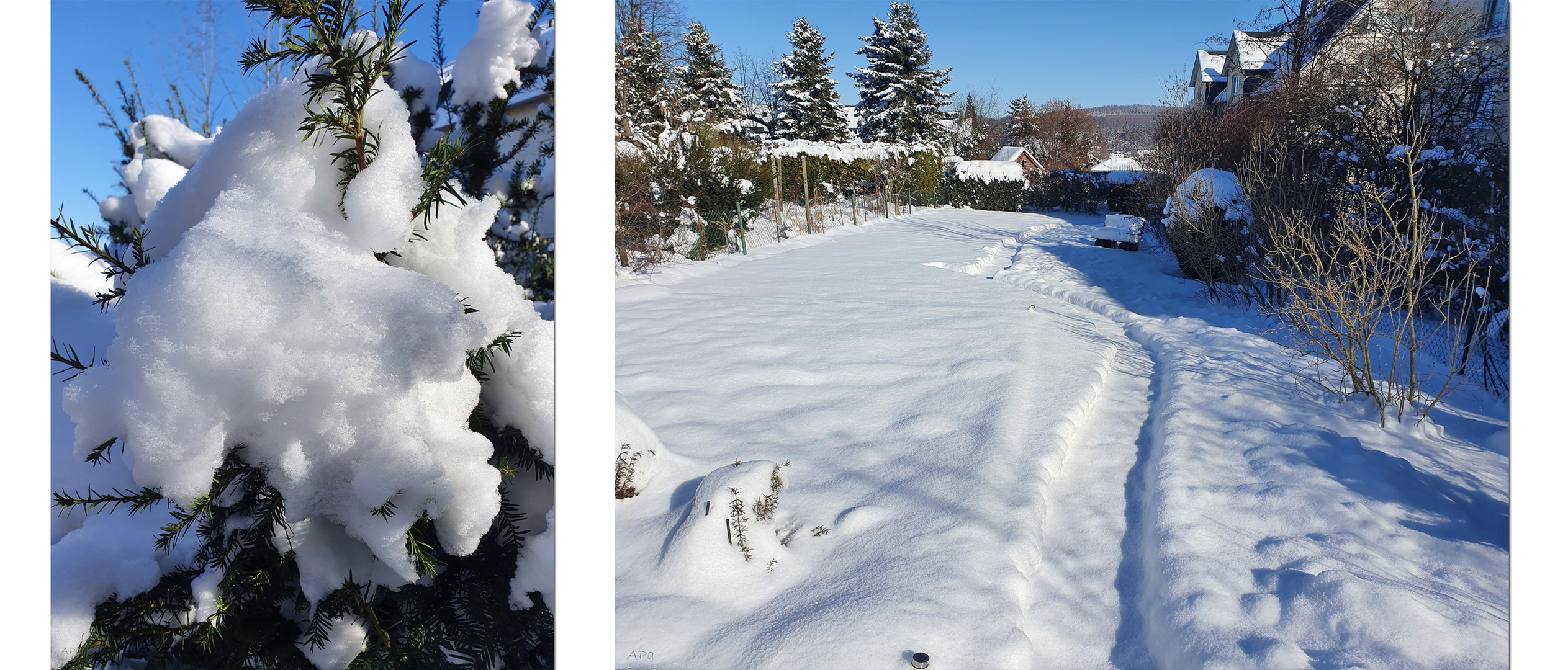 Mein Garten im Sonnenschein