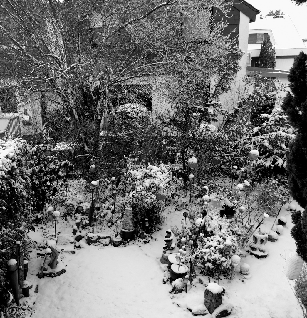 Mein Garten im Winter