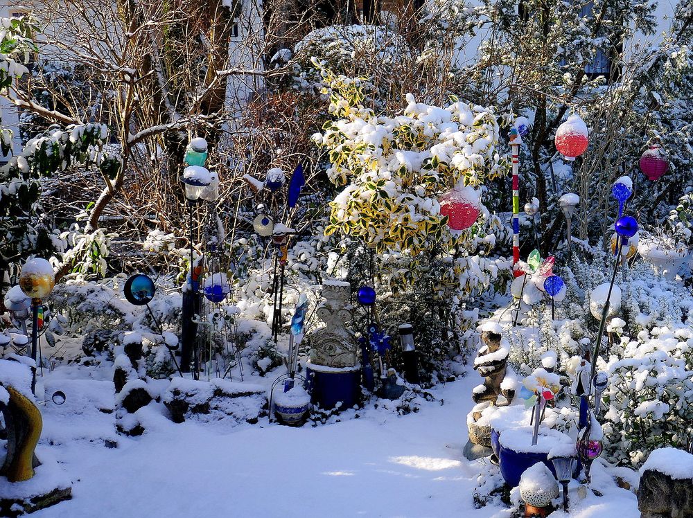 Mein Garten im Winter(2)