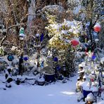 Mein Garten im Winter(2)