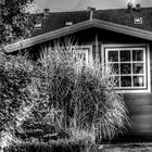 mein Gartenhaus... in HDR