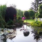 mein Gartenteich