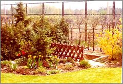 mein Gartenzaun, 1972 bis Anfang der 80-er Jahre ein Metallgitterzaun