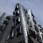 "Mein" Gehry...